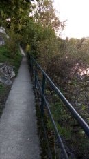 Bord de Seine à Chatou